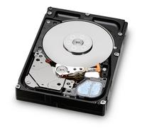 ULTRASTAR C15K600 300G 15000RP