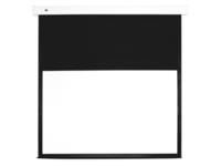 M 16:10 Motorized Projection Screen Deluxe 290.8x181.7 135"