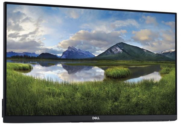 TFT Dell 22- P2219HWOS