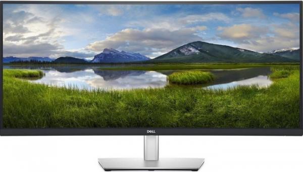 DELL 34 PRO P3421W CURVED USB-C (3440 x 1440 WQHD/21:9/HAS)