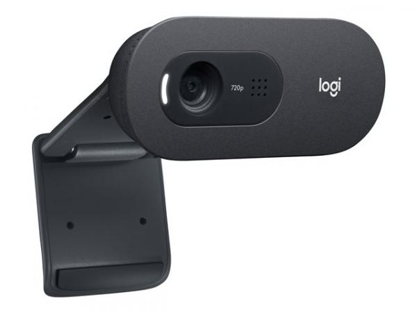 Logitech C505e - Verkkokamera - väri - 720p - kiinteä polttopiste - audio - USB