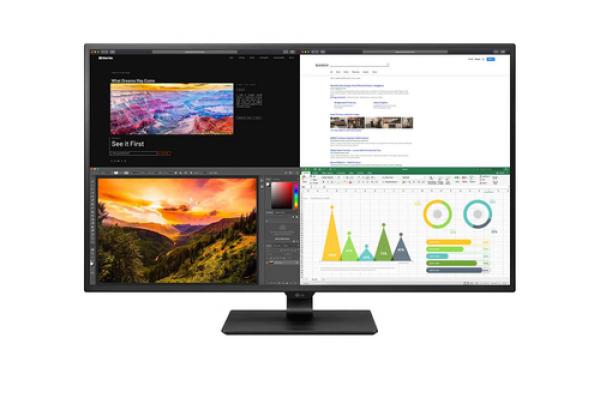 LG 43BN70U-B 43 3840 x 2160 4K HDMI DisplayPort USB-C 60Hz