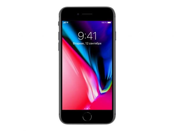 Apple iPhone 8 - avaruusharmaa - 4G - 256 GB - GSM - älypuhelin - Refurbished, käytetty