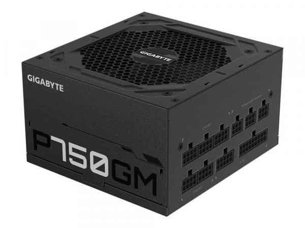 Gigabyte P750GM - virtalähde - 750 watt