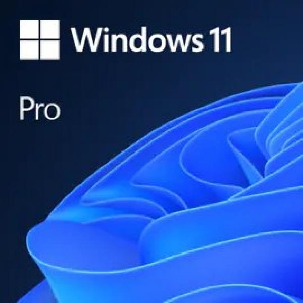 Microsoft WINDOWS 11 PRO, 64-BIT, ESD, Multilanguage