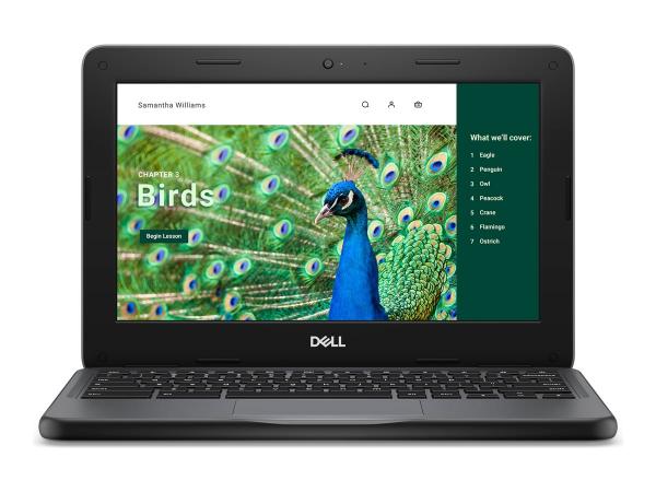 Dell Chromebook 3120 (2024) - 11.6 - Intel N-series - N100 - 4 GB RAM - 64 GB eMMC