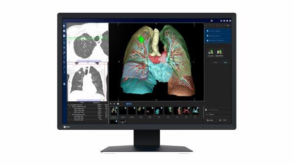 EIZO RadiForce MX243W-BK 24 IPS 1920 x 1200 (WUXGA) DVI DisplayPort 61Hz
