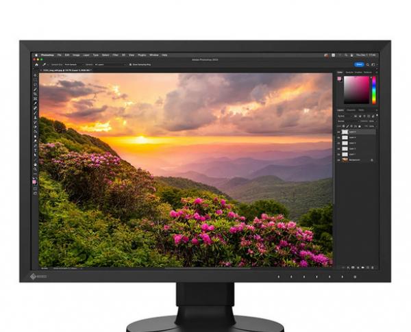 EIZO Monitor ColorEdge CS2400S CAL 24" Svart